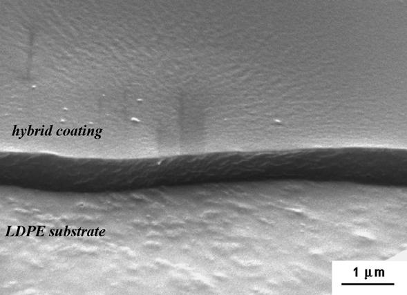 Figure 1, SEM micrograph of the edge view of LDPE film coated with H5