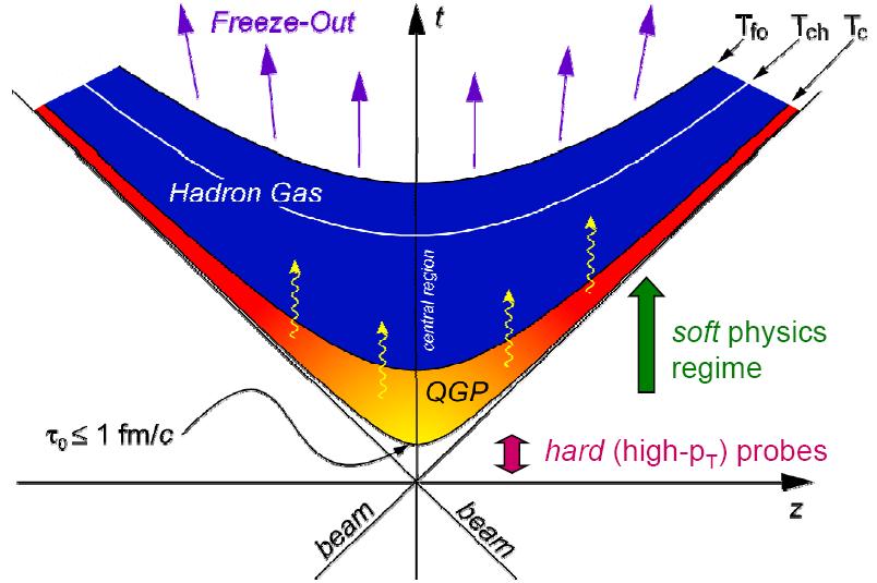 a Quark-Gluon Plasma phase (if T is larger than T c ) At chemical freeze-out, T ch,