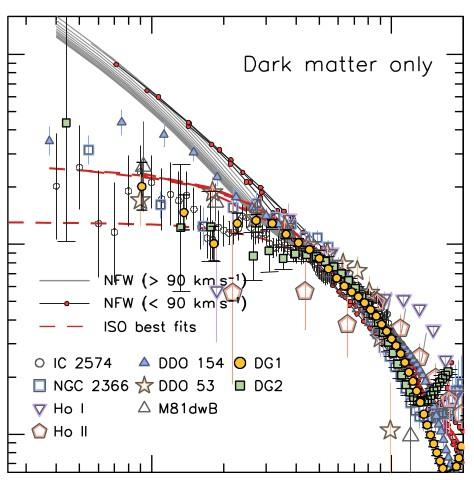 Self interacting dark matter - cosmology The collisionless cold dark matter paradigm fits perfectly at large scales There are however various discrepancies between N-body simulations of collisionless