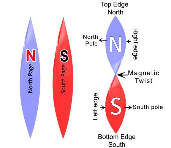 1. Magnetic field line Anatomy Theory: Actually magnetic line, that is North and South Pole is like two sides or faces of a paper rather than up and down.