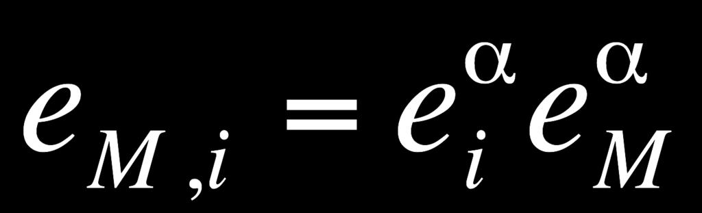 and E α (for α=1,2) e 1 similar for the polarization vector, e M The new
