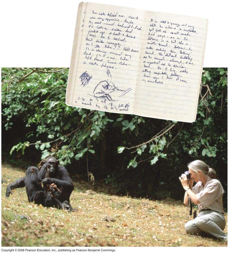 Fig. 1-23 Jane Goodall collecting