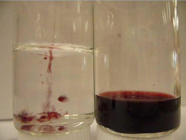 Figure S3.1: test of immiscibility between the dodecane (transparent solution) and methanol with a dye.