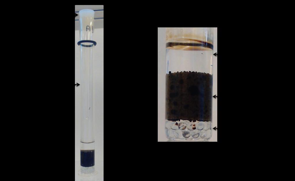 SCA2018-029 5/12 Figure 2 : Imbibition tube placed in the NMR spectrometer (outer diameter 18 mm). In these experiments, the aqueous solution imbibes through all the faces of the sample.
