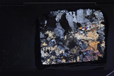 32832871 32832891 IGNEOUS PETROLOGY Lithology: oxide-bearing olivine gabbro medium grained Observer: Texture: granular Ave. grain size: medium grained [345] Mineral Original (%) min. max.