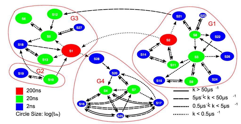 Metastable state network of Ala 12