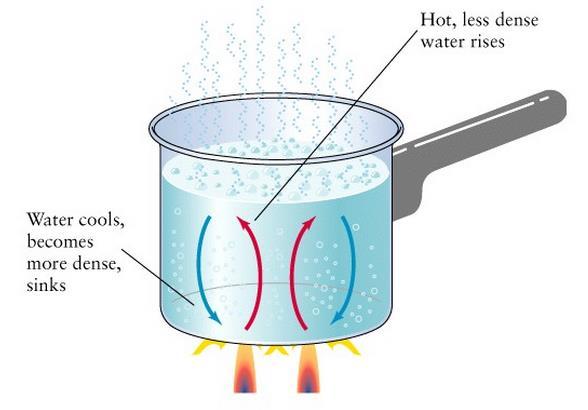 Convection Currents : a current in a fluid that