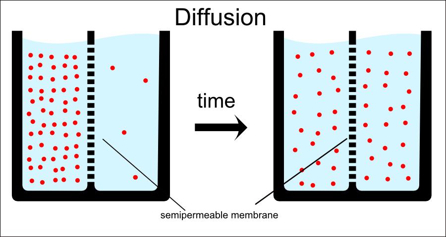 Simple Diffusion An example of passive transport in which small molecules move from
