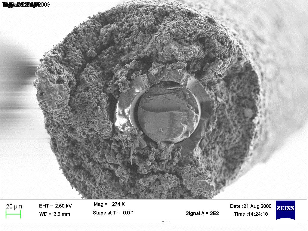 PDMS-DVB Fiber SEM Cross section of the PDMS-DVB fiber. The center is a fused silica core, surrounded by a Stableflex core.