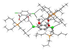 In the crystal structure of [P 4444 ][Dic], the dicamba anion is connected to four cations and another dicamba anion through various non-classical weak C H Cl and C H O hydrogen bonds