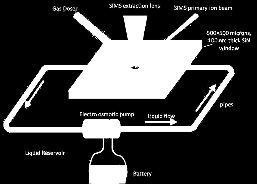 Liquid SEM Imaging of Boehmite Particles Au Coated Device