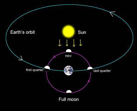 The Moon s Orbit The moon revolves around the Earth and rotates on its own axis Revolution Moon orbits the Earth every 27.