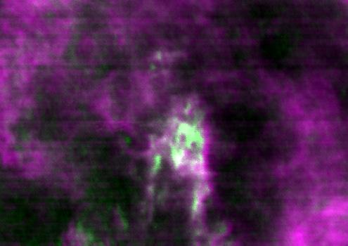 13 G198+32 1 A τ(353 GHz) from Planck [10-5 ] A N(HI) from Arecibo [10 20 cm -2 ] Fig. 7. (Top panel) An image covering 8.3 5.