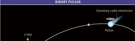 Pulsar scenario: Interaction of the relativistic wind from a young
