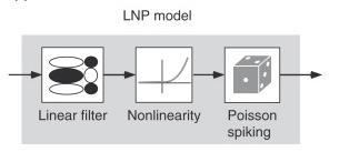 The Models - LNP INPUT OUTPUT [2] Knowns is the stimulus vector Spike times [2] http://www.sciencedirect.
