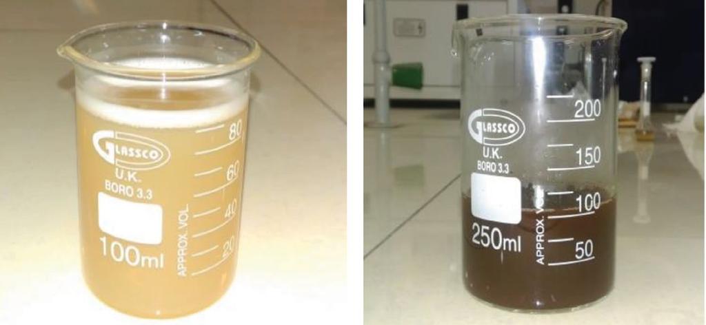 Fig.1. Color change of solution due to the synthesis of silver nanoparticles. a b c Fig. 2. (a) The crude extract of Avena sativa L.