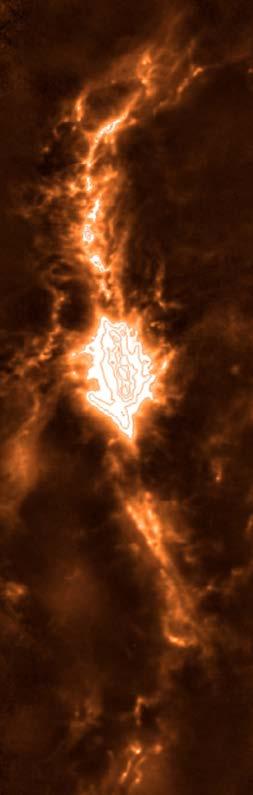 YSO Filament Spatial Correlations Orion A Integral Shaped