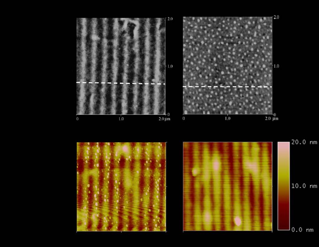 TIR Lithography experiment (II) (Ohdaira, Y., et al., Colloids Surf.