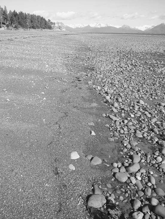 Nonuniform Sediments on Coastlines Gravel-sand beach at Kachemak Bay, Alaska, USA at low tide showing uniformly mixed sand and gravel