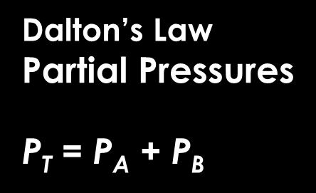 P 1 V 1 = P 2 V 2 T 1 = T 2 Ideal Gas Law PV = nrt Dalton s Law Partial