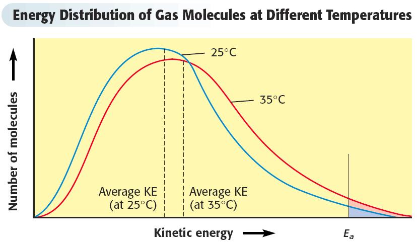 Kinetic Molecular Theory Increasing the temperature of a gas shifts the