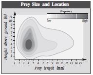 The shading in the graph below indicates the frequency with which a certain bird species obtains prey, by prey size and location. Use the graph to answer the question that follows. 37.