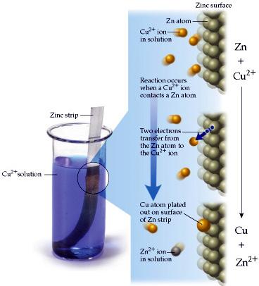 Zn(s) + Cu 2+ (aq) Cu(s) + Zn 2+ (aq) In this reaction: