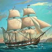 Darwin s Voyage In December 1831, Darwin set sail from England on a five year trip around the world Darwin s