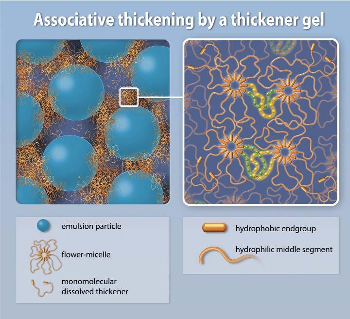 93 content and a thickener gel. In the free flowing phase, the thickener molecules are dissolved individually or are present as loop micelles.