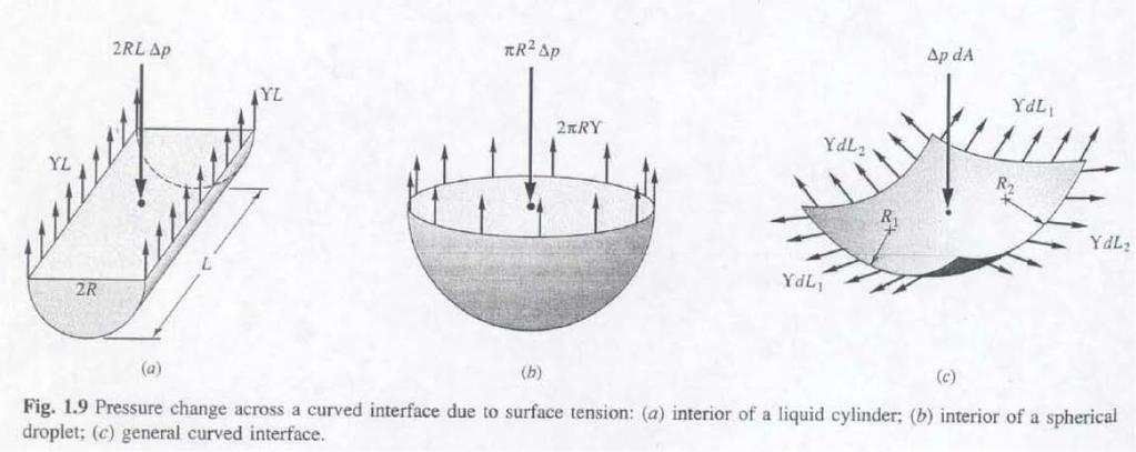 23 Pressure jump across curved interfaces (a) Cylindrical interface Force Balance: 2σL = 2 RL (p i p o ) p = σ/r p i > p o, i.e. pressure is larger on concave vs.