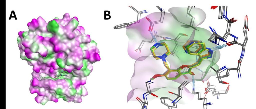 C. Structure preparation The X-ray crystal structures of Pim1 and inhibitor complexes are shown in Figure S3 and its data collection and refinement statistics (PDB-ID: 5VUC, 5VUA, and 5VUB) are
