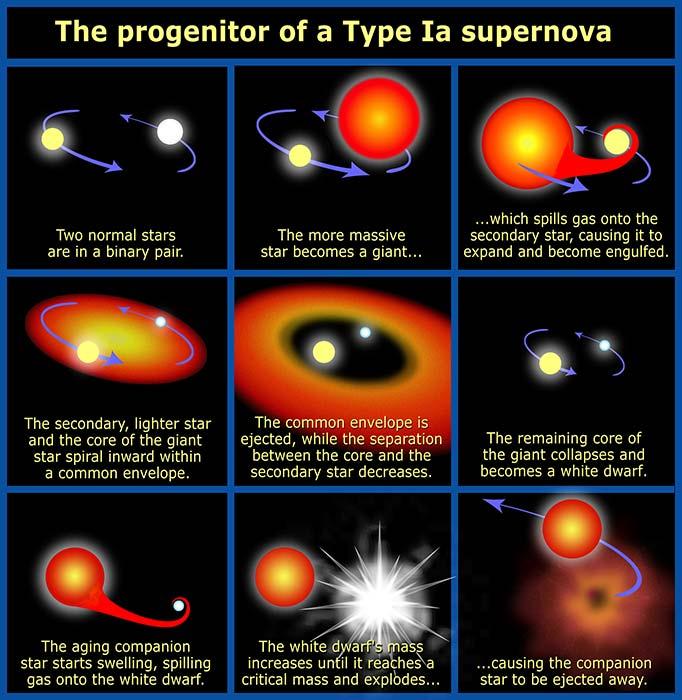 Progenitor evolution of a type Ia supernova Karlheinz Langanke ( GSI