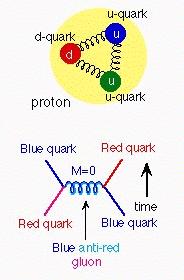 Four fundamental forces of nature? Strong Force The force that binds quarks to make up protons and neutrons and then binds them together to form nuclei.