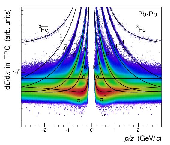 NUCLEI IDENTIFICATION Low momenta Nuclei identification via de/dx measurement in the TPC: de/dx resolution in central Pb-Pb collisions: ~7% Excellent separation of (anti-)nuclei from other particles