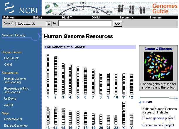 Human Genome Resources (http://www.