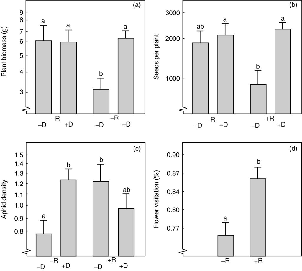 156 K. Poveda et al. Figure 7.1. Effects of decomposers (D) and root herbivores (R) on (a) plant biomass, (b) number of seeds per plant, (c) number of aphids on a plant, and (d) flower visitation rate (mean 1 standard error).
