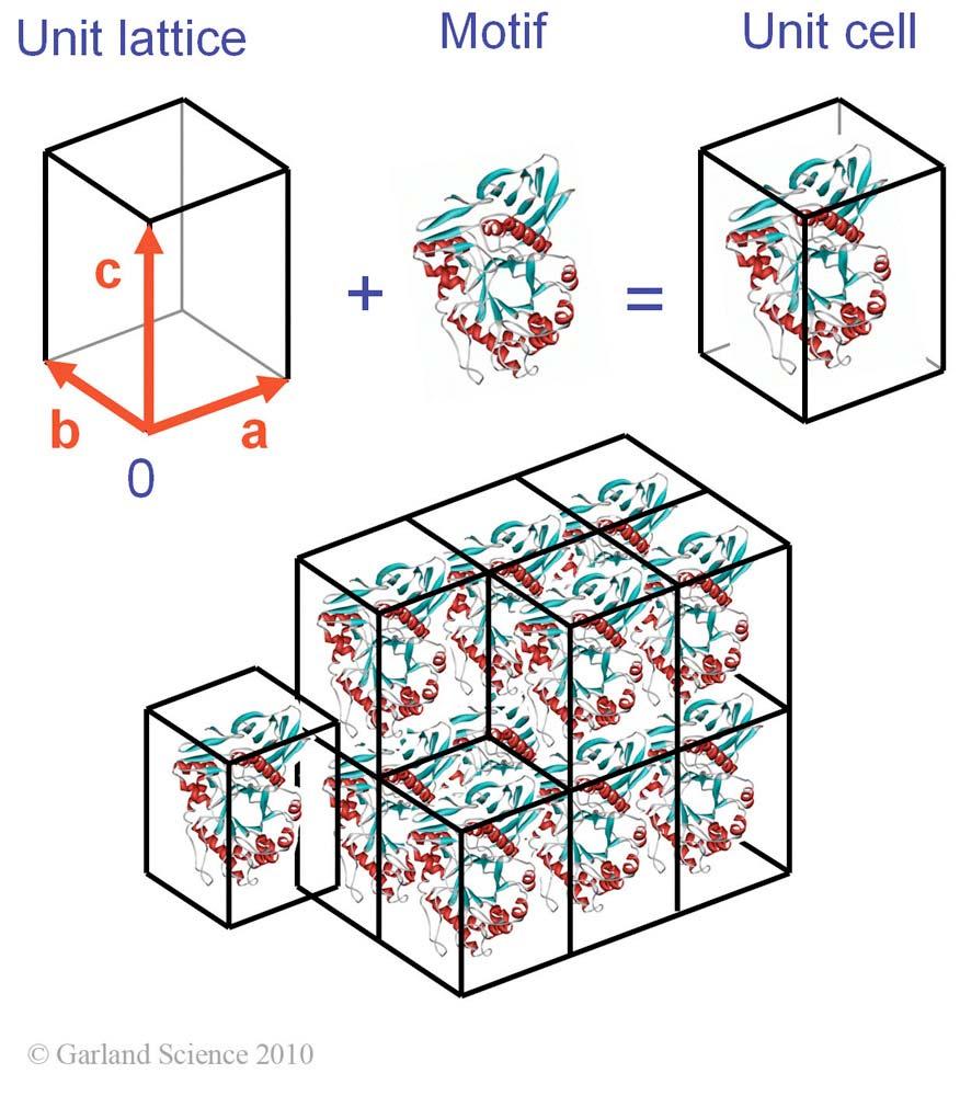 3 dimensional protein crystals The unit lattice is the 3D set of points described by the 3 non collinear vectors that give the repeating units The motif is the content of the unit lattice (Note: it