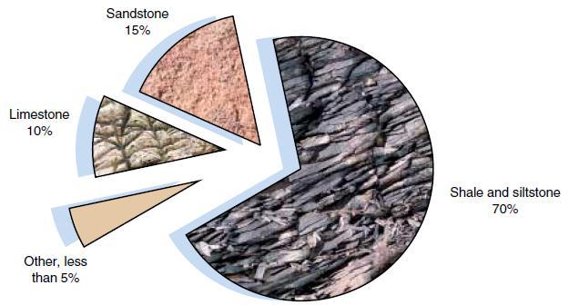 Such as sandstone, siltstone, and shale. 2. Organic sedimentary rocks: consist of the remains of plants or animals. Such as Coal and Diatoms. 3.