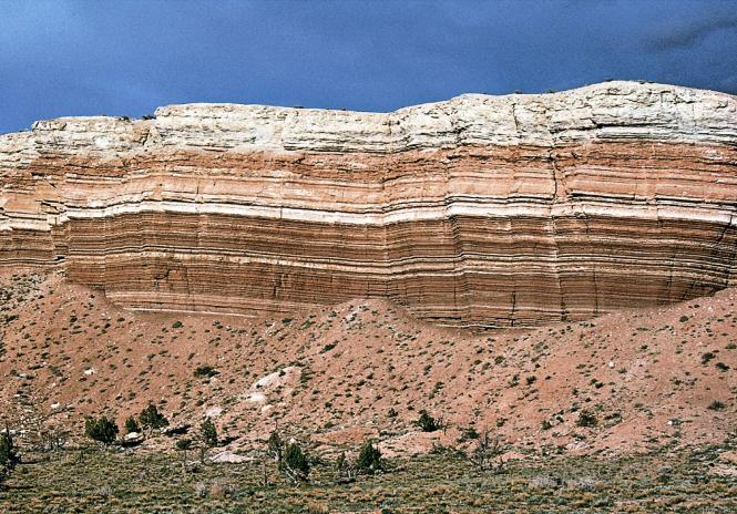 Bioclastic sedimentary rocks: Most limestone is composed of broken shell fragments. The fragments are clastic, but they form from organic material.
