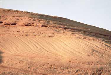 Graded bedding 3. Cross-bedding: Wind or water may deposit material across sloping surfaces during sedimentation.