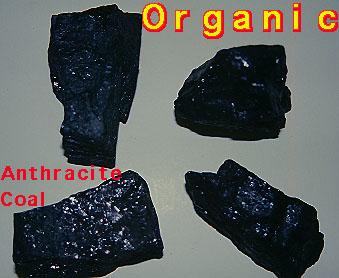 Biologic sedimentary rocks come from the remains of organic matter. The most important of these is coal.