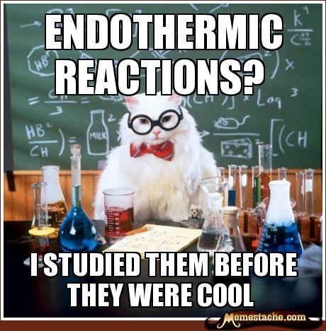 Endothermic reactions O endothermic reaction: a chemical reaction that requires energy input O