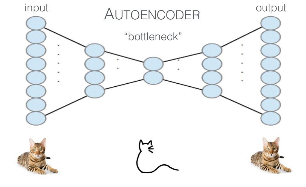 Auto-encoder with