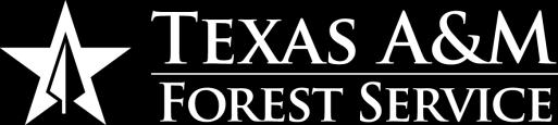 TEXAS WILDLAND FIRE POTENTIAL WINTER/SPRING 2018/2019 Texas A&M Forest Service Predictive