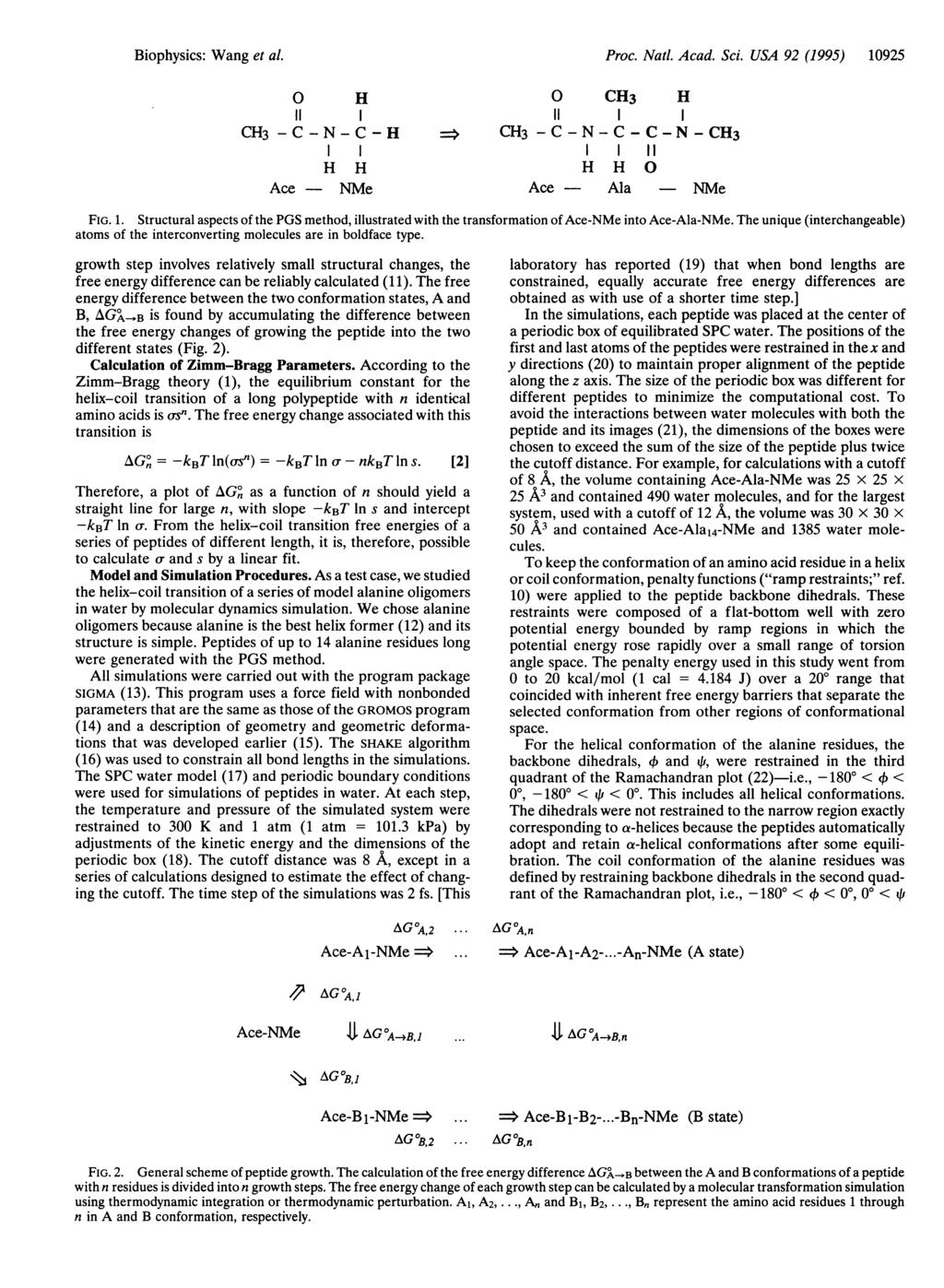 Biophysics: Wang et al. Proc. Natl. Acad. Sci. USA 92 (1995) 10925 0 H 11 CH3 -C-N-C-H H H Ace - NMe 0 CH3 H 11 I > CH3 -C-N-C-C-N-CH3 I 11 H H O Ace - Ala - NMe FIG. 1. Structural aspects of the PGS method, illustrated with the transformation of Ace-NMe into Ace-Ala-NMe.