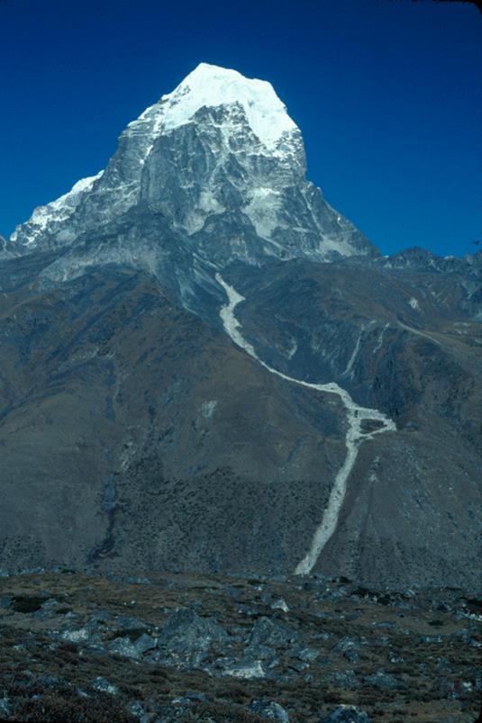 Nepal Culebres