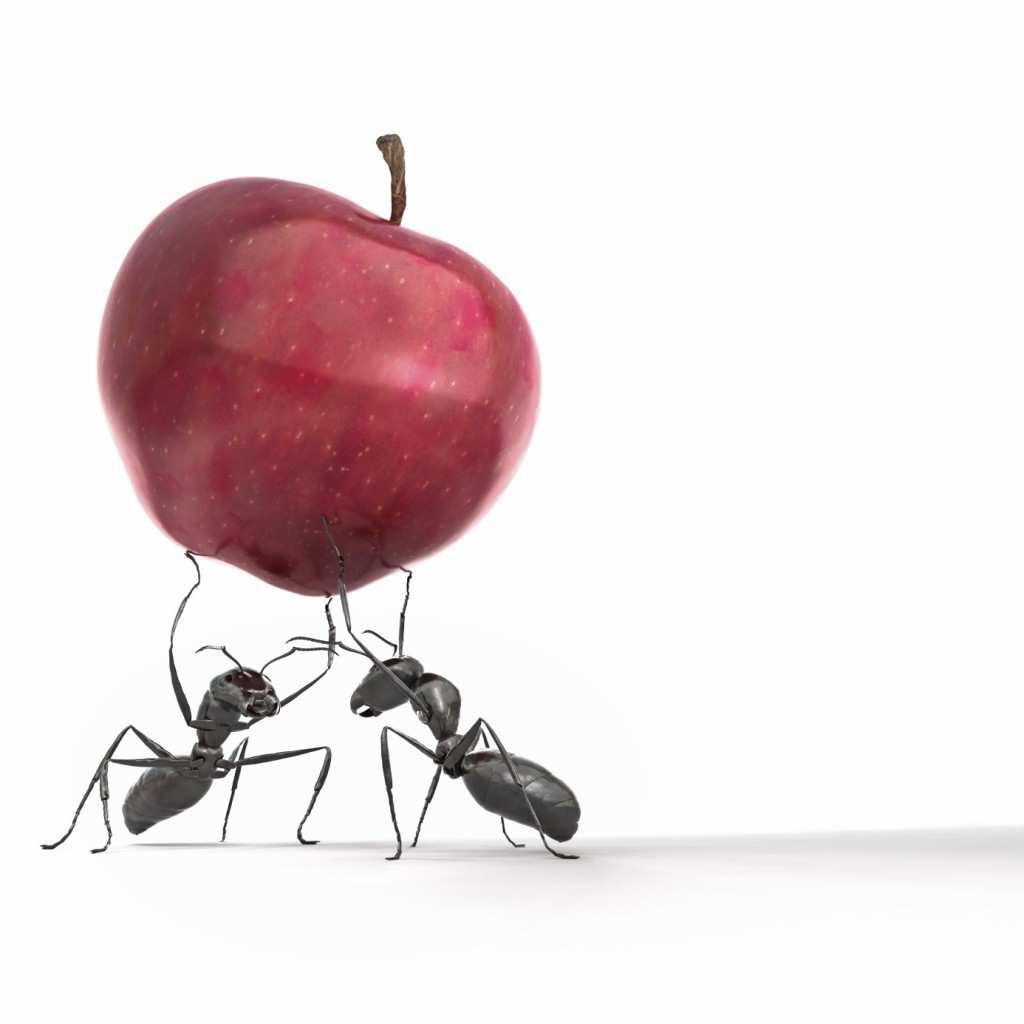 Ant Colony Optimization: an