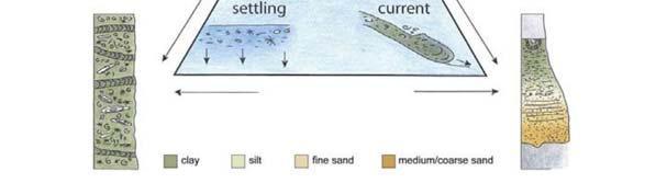 Sediments deposited by vertical pelagic settling Sediments deposited by downslope density