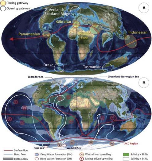 A) Global distribution of the marine basin during the Eocene (56 33.9 Ma.