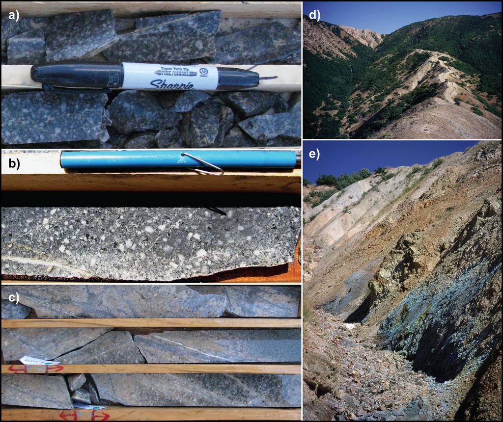 250 Miner Deposita (2015) 50:245 263 The predominant intrusive phase at Cevizlidere is a diorite porphyry ( feldspar porphyry ; Kociumbas and Page 2009) which has been intruded along a NW-trending